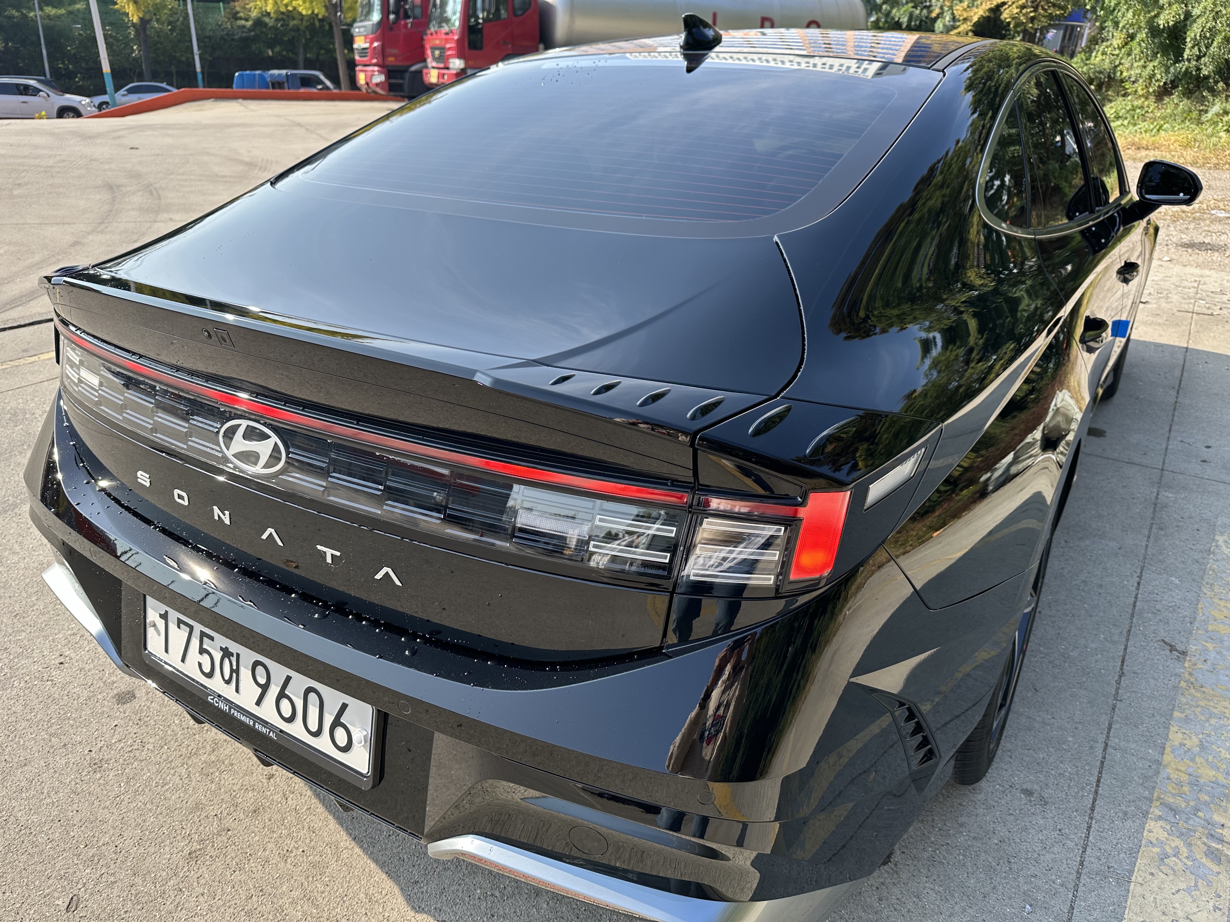 sonata_2024