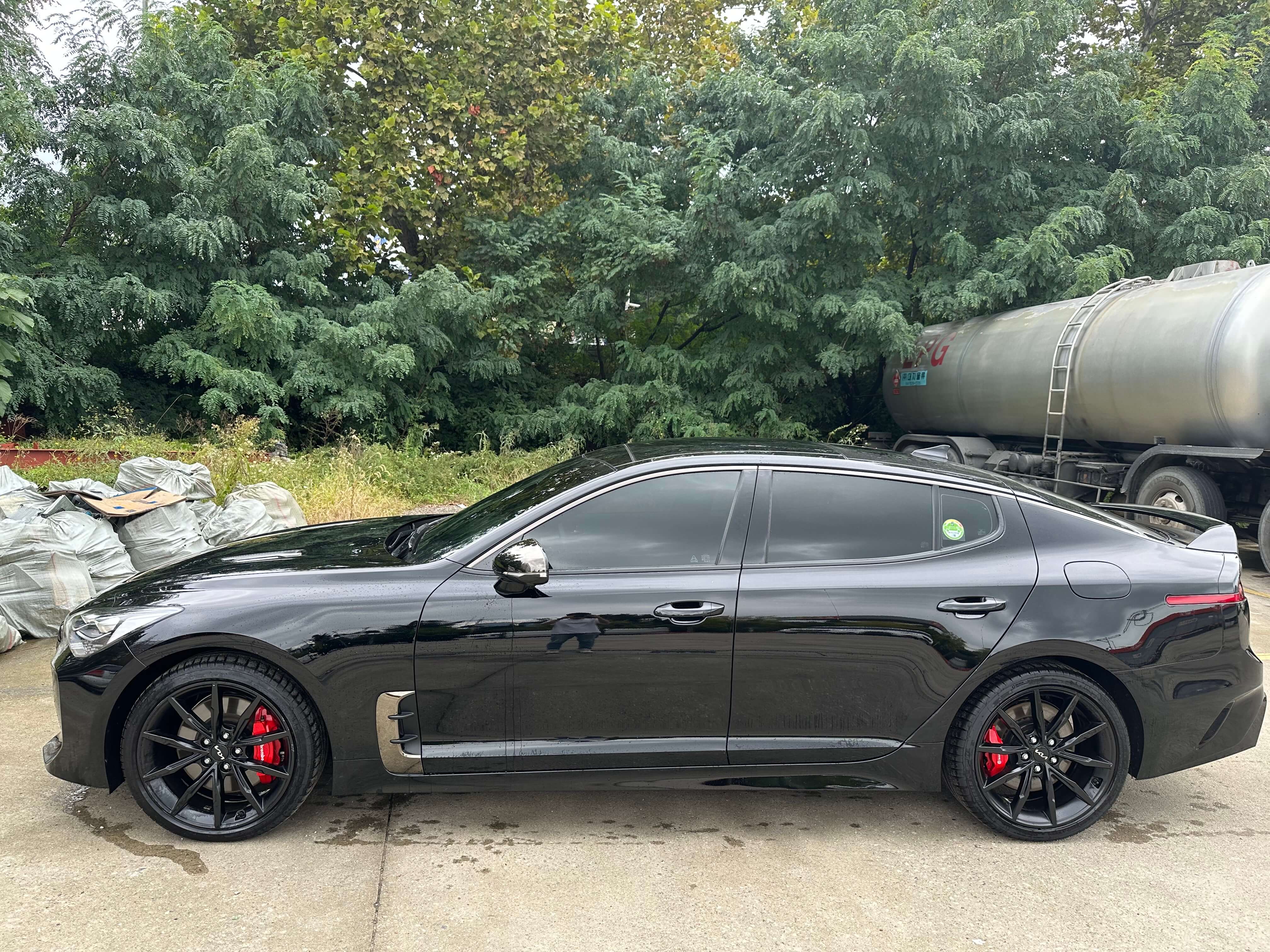 stinger